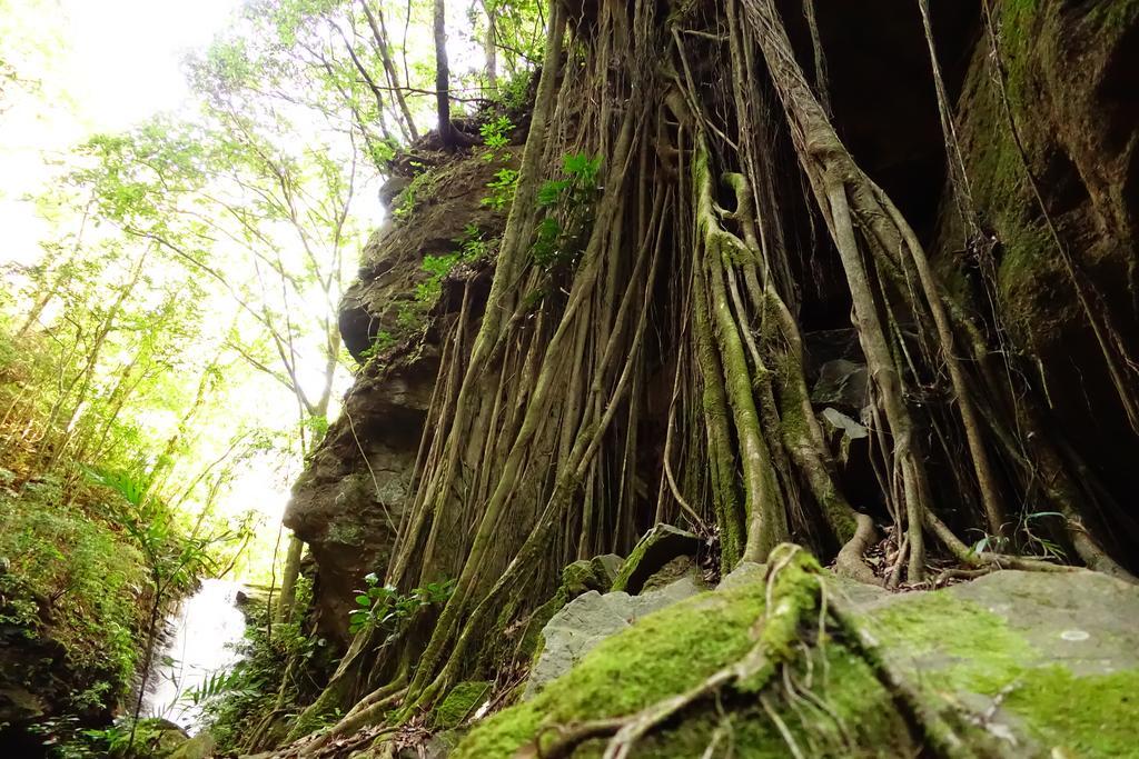 Casa Alquimia Hotel Monteverde Kültér fotó