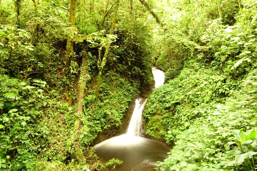 Casa Alquimia Hotel Monteverde Kültér fotó