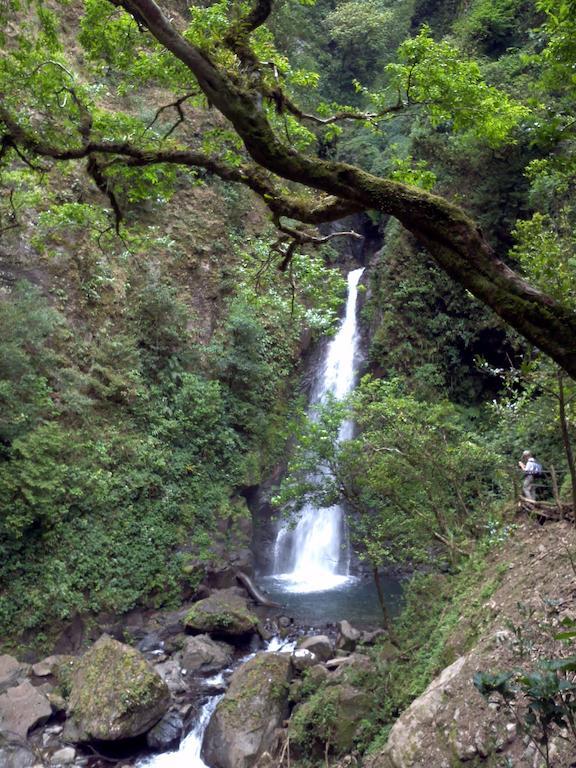 Casa Alquimia Hotel Monteverde Kültér fotó