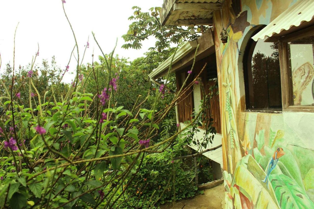 Casa Alquimia Hotel Monteverde Kültér fotó